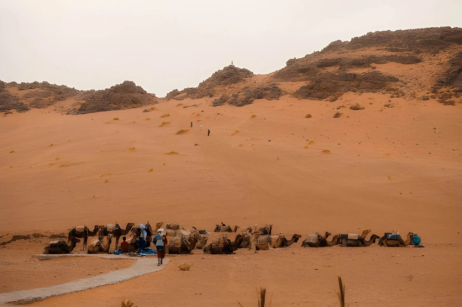 Désert de Zagora - 2 jours