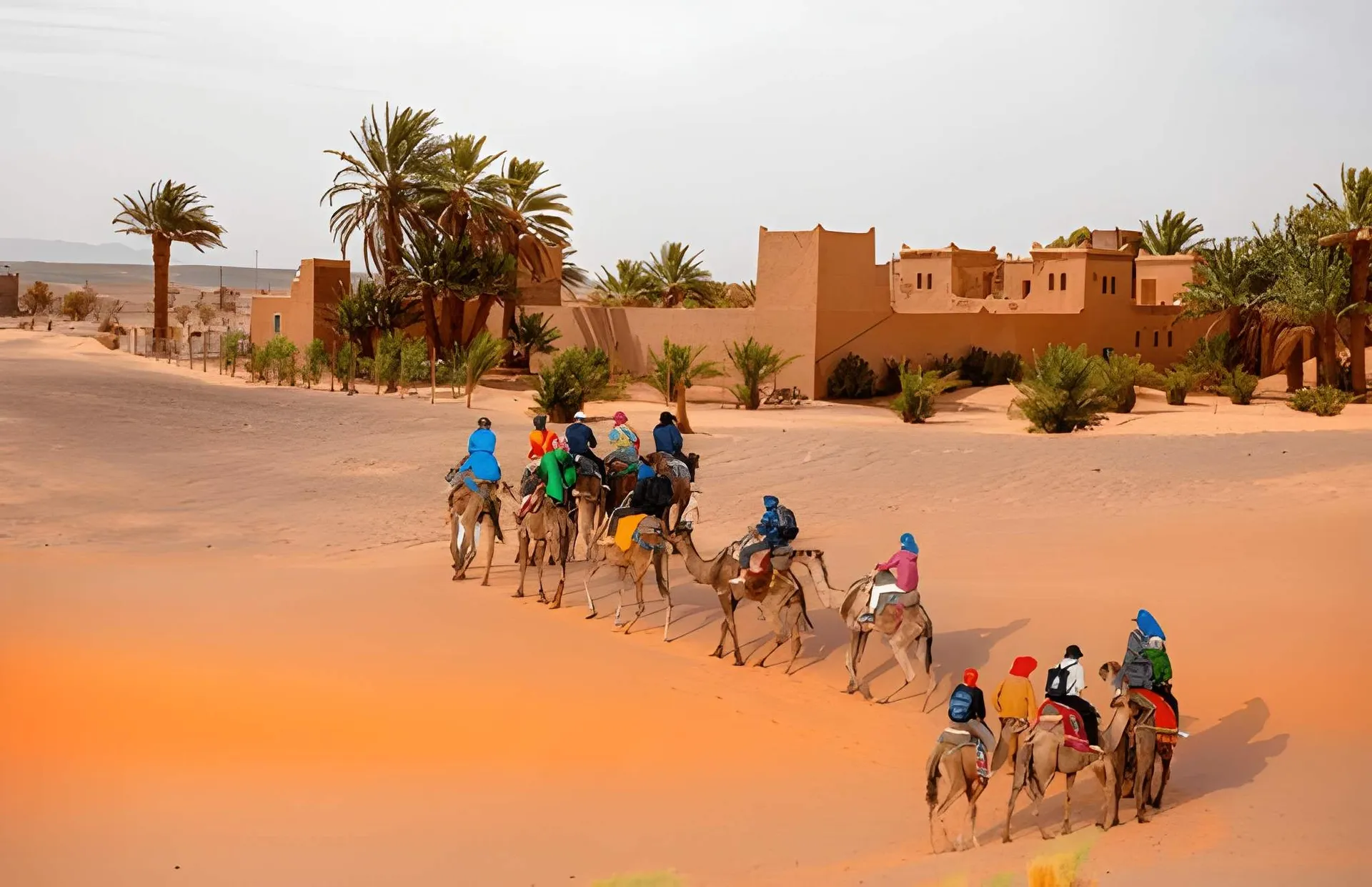 Découvrez le Maroc avec nous
