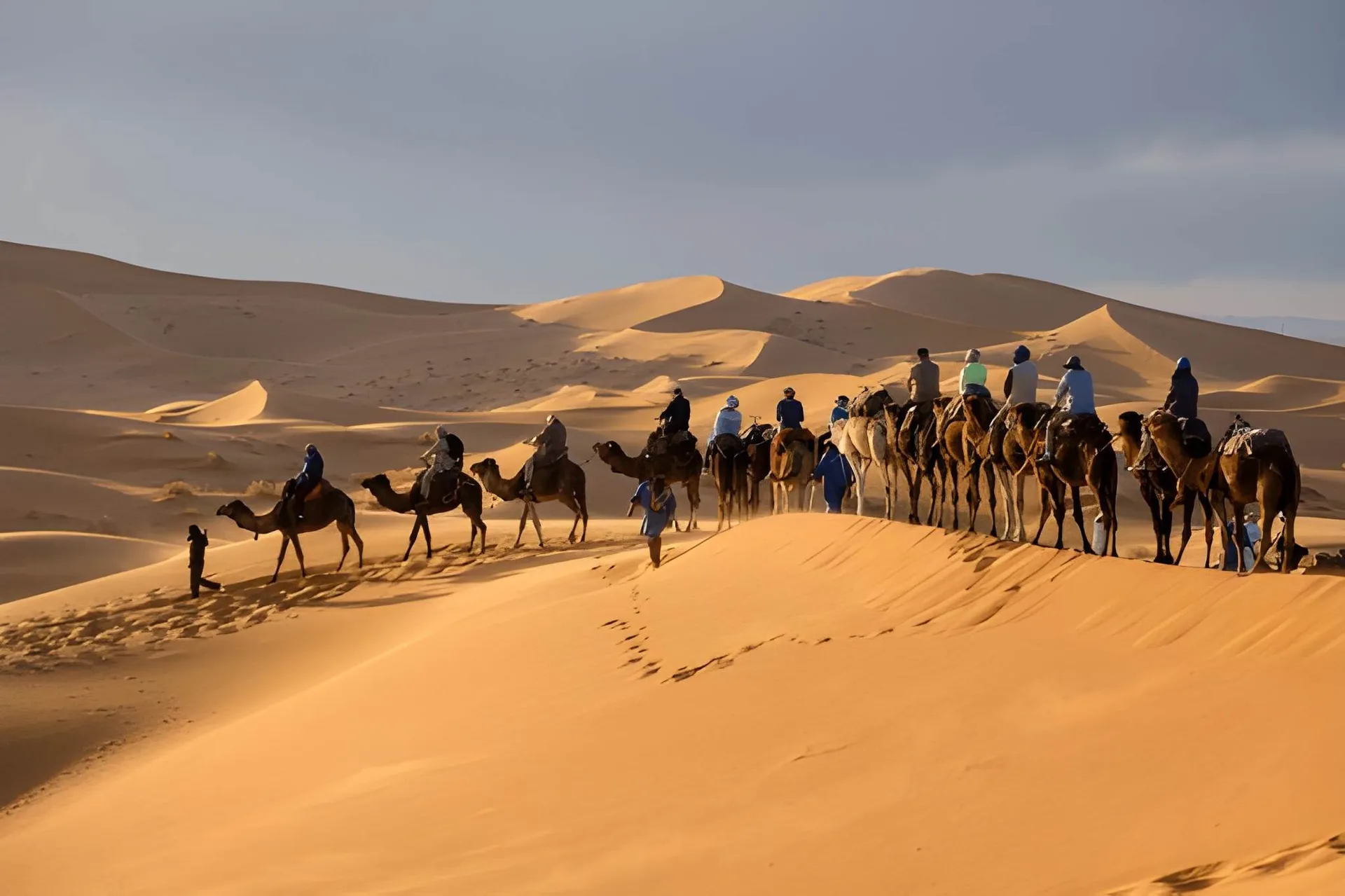 Excursion dans le désert de Merzouga : guide complet
